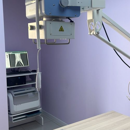 Bal Veteriner Kliniği