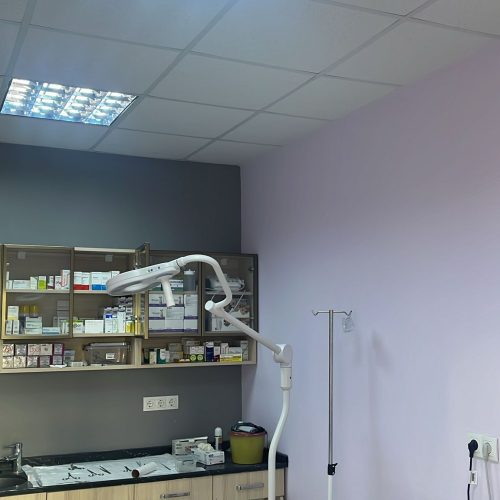Bal Veteriner Kliniği