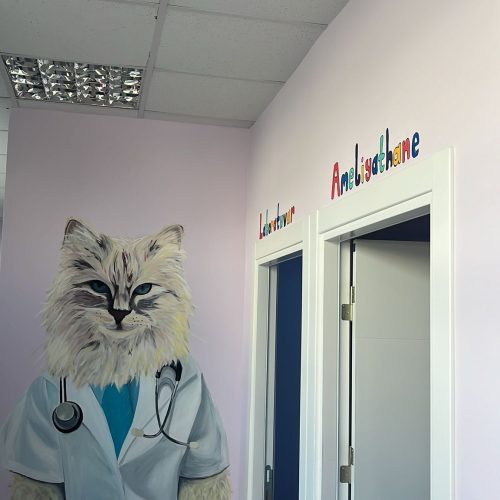 Bal Veteriner Kliniği
